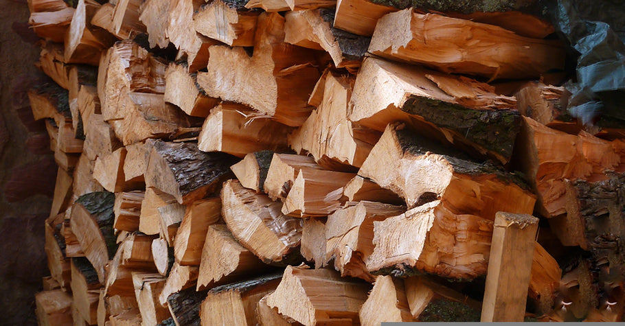 Jetzt Brennholz vorrat kaufen und sparen: Tipps für eine kostengünstige und umweltfreundliche Heizsaison