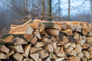 Brennholz kaufen - Buche - 30 Kg  ofenfertig in 25cm